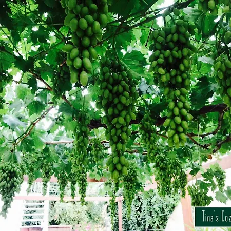 Appartamento Tina's Cozy Polis