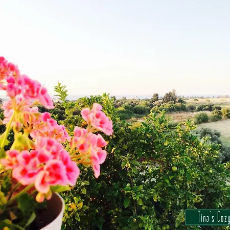 Tina's Cozy アパート Polis