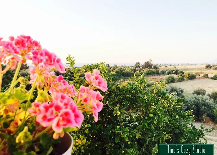 Tina's Cozy Appartement Polis