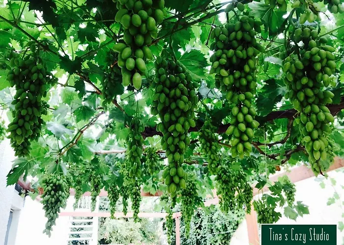 Appartement Tina's Cozy Polis